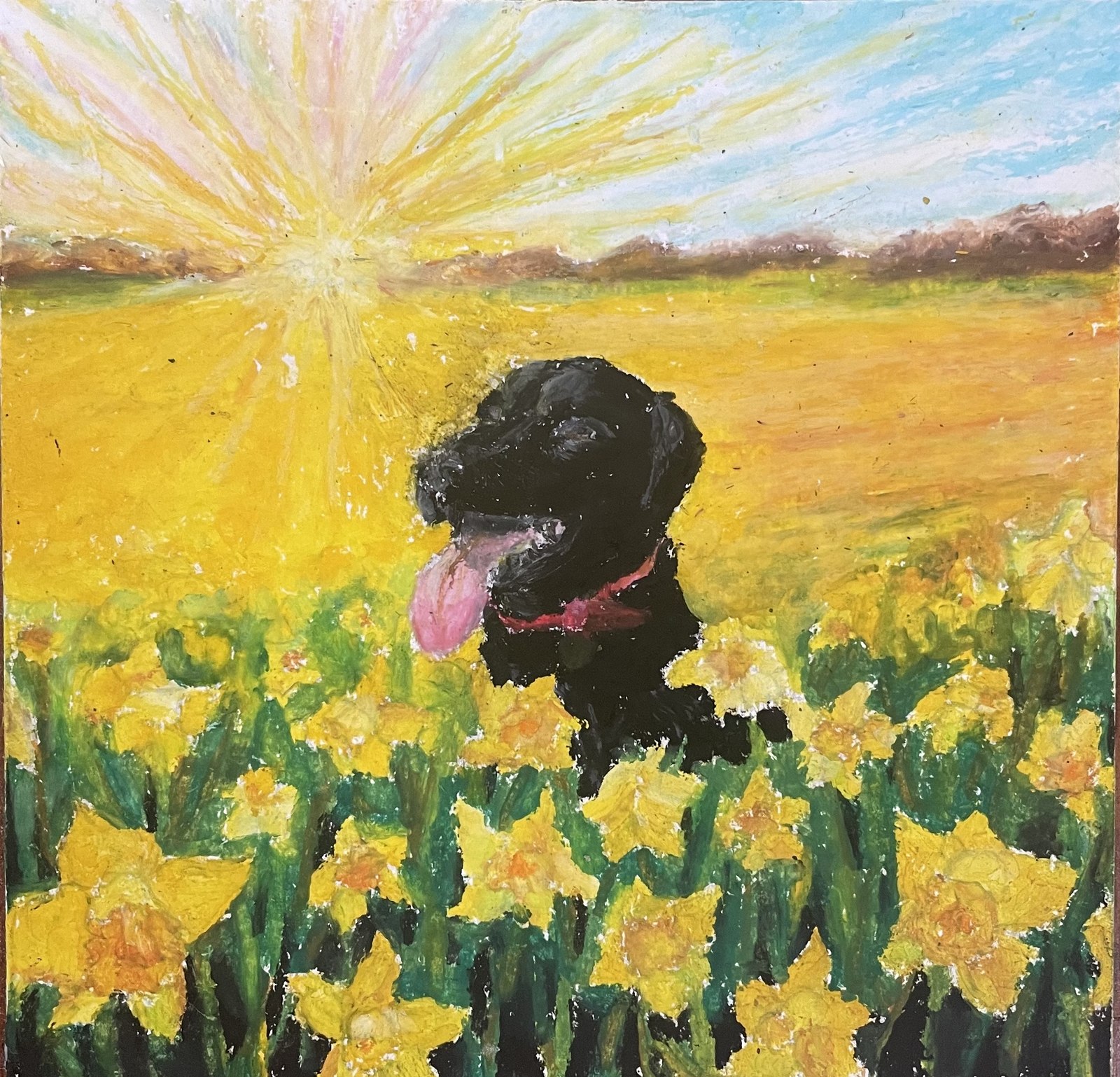 In the Sunflower Field